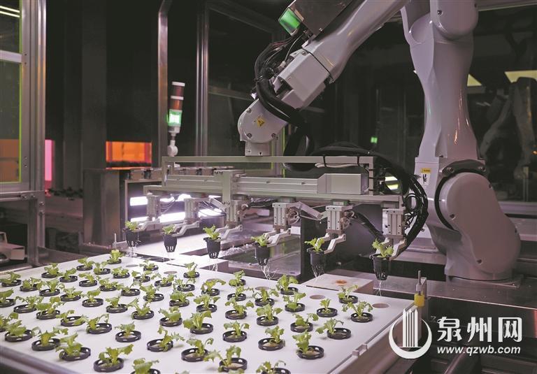 种菜不再&ldquo;靠天吃饭&rdquo; 无人植物工厂里的&ldquo;新质&rdquo;密码